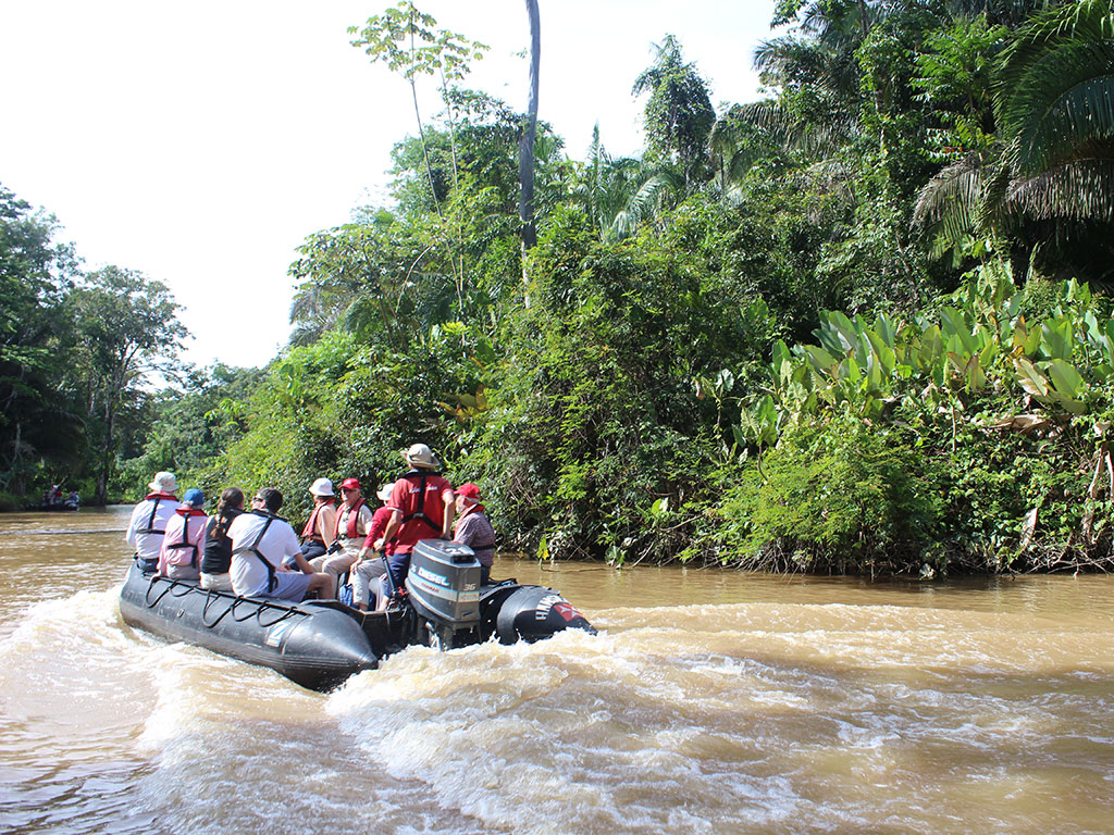Amazonasdelta - Brasilien